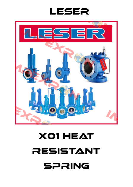 X01 Heat resistant spring Leser