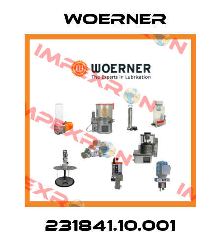 231841.10.001 Woerner