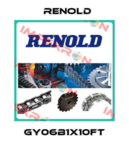 GY06B1X10FT Renold