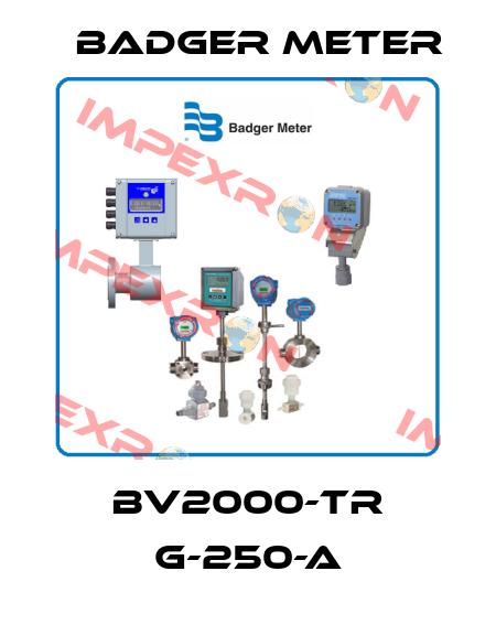 BV2000-TR G-250-A Badger Meter