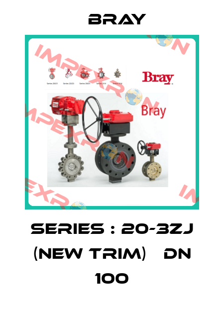 Series : 20-3ZJ (New Trim)   DN 100 Bray