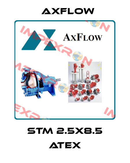 STM 2.5X8.5 ATEX Axflow