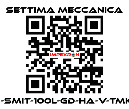 GR40-SMIT-100L-GD-HA-V-TMK-CSM Settima Meccanica
