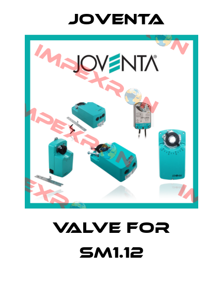 valve for SM1.12 Joventa