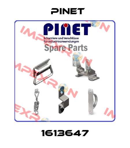 1613647 Pinet