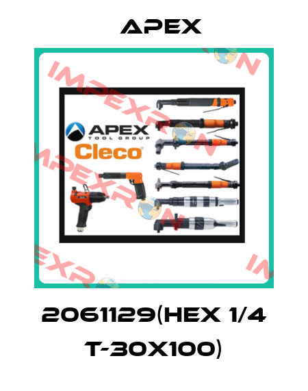 2061129(Hex 1/4 T-30X100) Apex