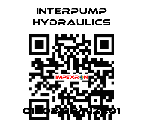 01002138M1Z201 Interpump hydraulics