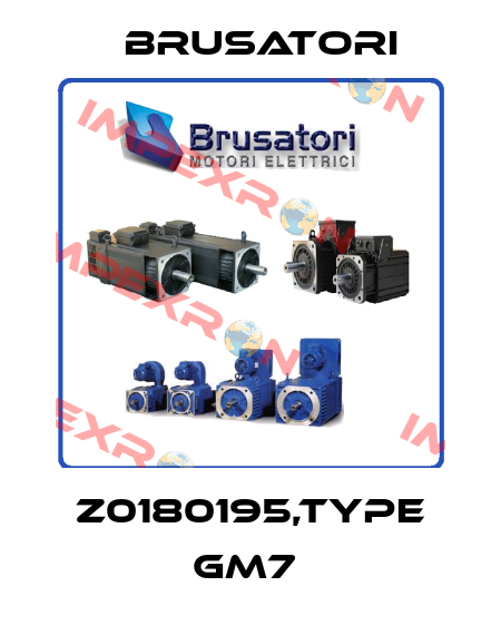 Z0180195,TYPE GM7  Brusatori