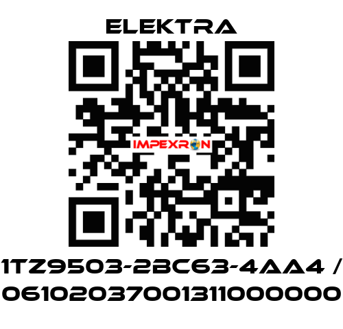 1TZ9503-2BC63-4AA4 / 06102037001311000000 ELEKTRA