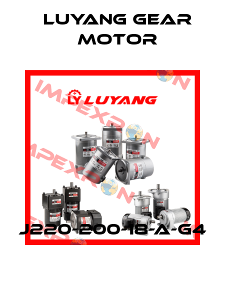 J220-200-18-A-G4 Luyang Gear Motor