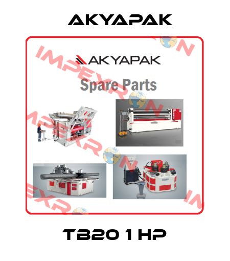 TB20 1 HP Akyapak