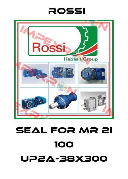 seal for MR 2I 100 UP2A-38X300 Rossi