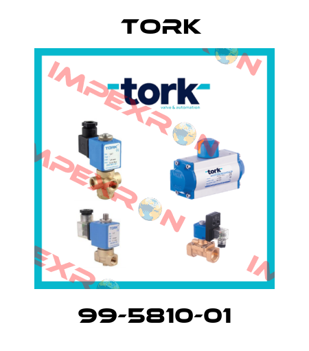 99-5810-01 Tork