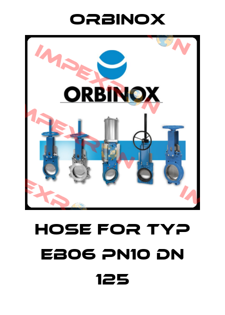 Hose for Typ EB06 PN10 DN 125 Orbinox