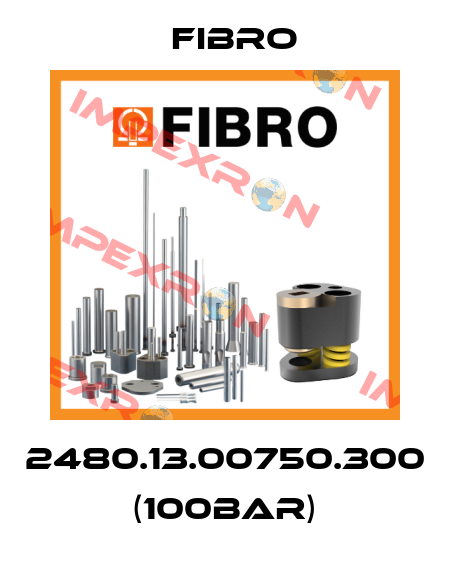 2480.13.00750.300 (100bar) Fibro