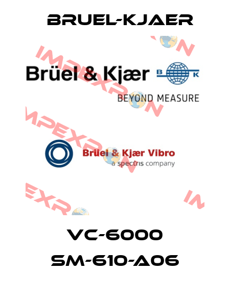 VC-6000 SM-610-A06 Bruel-Kjaer
