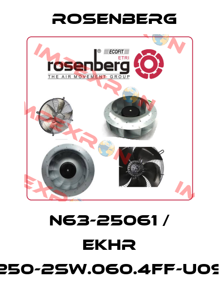 N63-25061 / EKHR 250-2SW.060.4FF-U09 Rosenberg