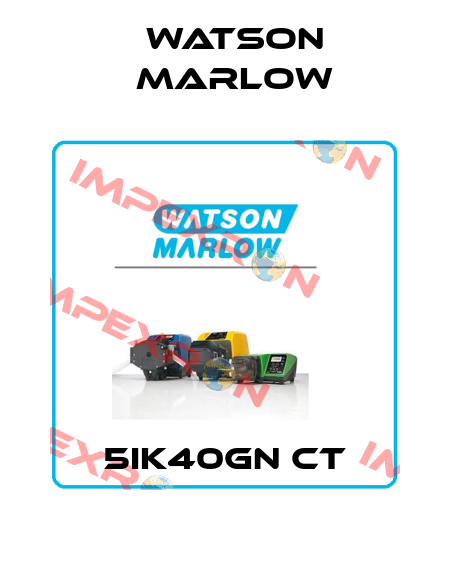 5IK40GN CT Watson Marlow