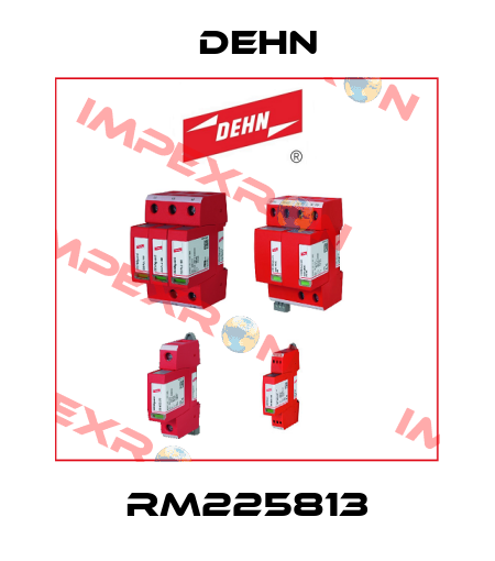 RM225813 Dehn