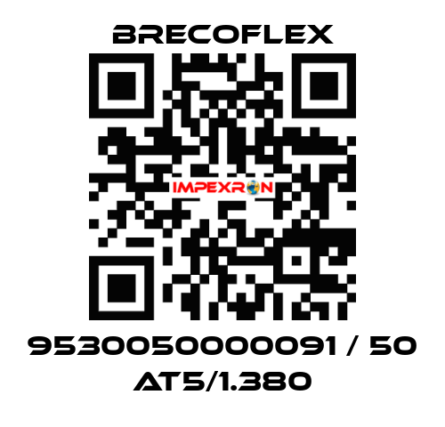 9530050000091 / 50 AT5/1.380 Brecoflex