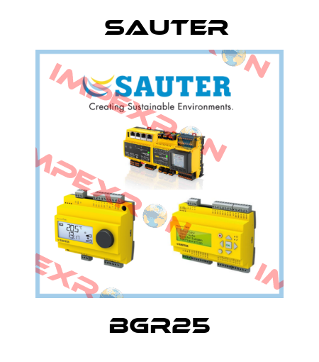 BGR25 Sauter