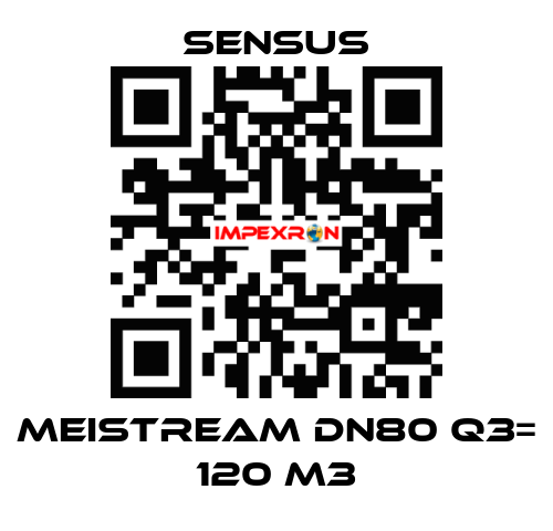Meistream DN80 Q3= 120 m3 Sensus