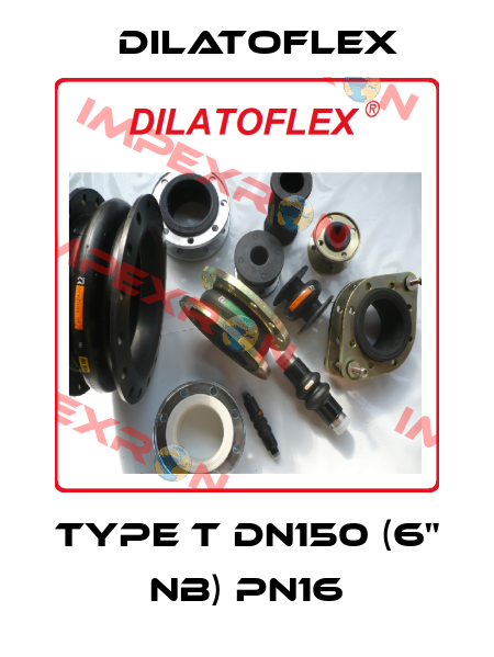 Type T DN150 (6" NB) PN16 DILATOFLEX