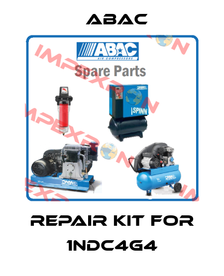 repair kit for 1NDC4G4 ABAC