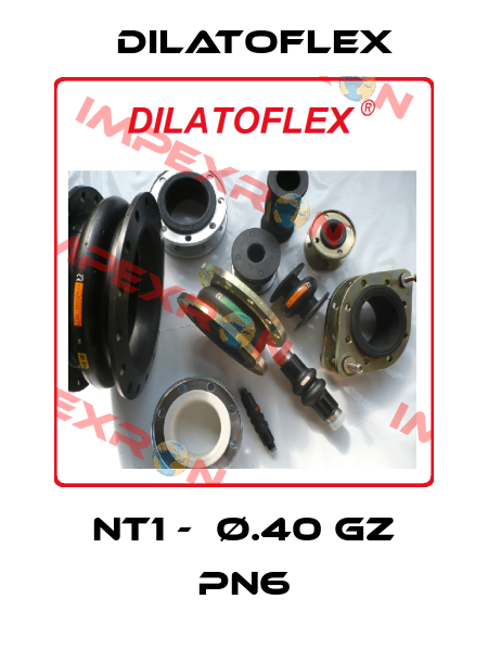 NT1 -  Ø.40 GZ PN6 DILATOFLEX