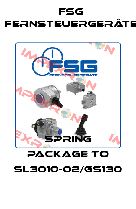 spring package to SL3010-02/GS130 FSG Fernsteuergeräte