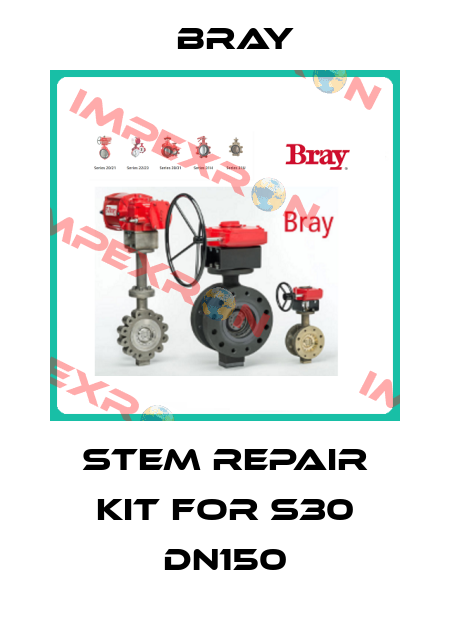 Stem repair kit for S30 DN150 Bray
