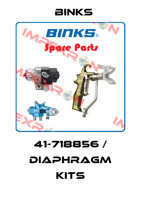 41-718856 / Diaphragm Kits Binks