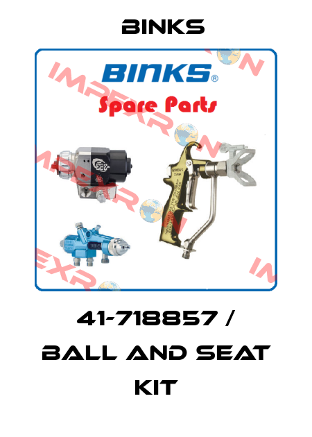 41-718857 / Ball and Seat Kit Binks