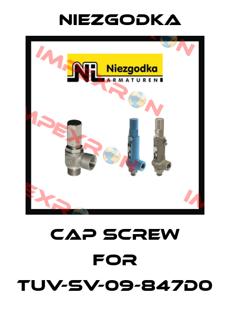 cap screw for TUV-SV-09-847d0 Niezgodka