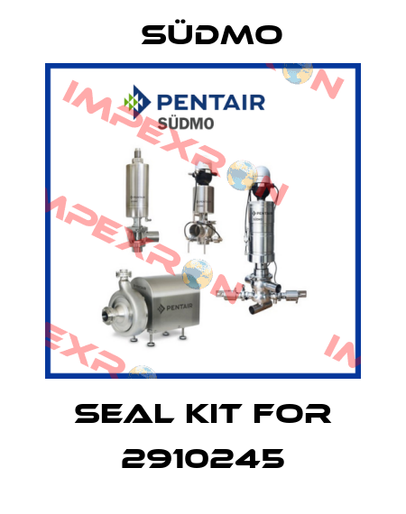 Seal kit for 2910245 Südmo