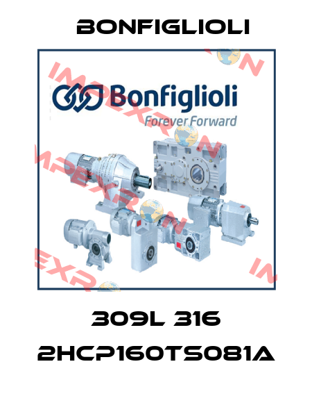 309L 316 2HCP160TS081A Bonfiglioli