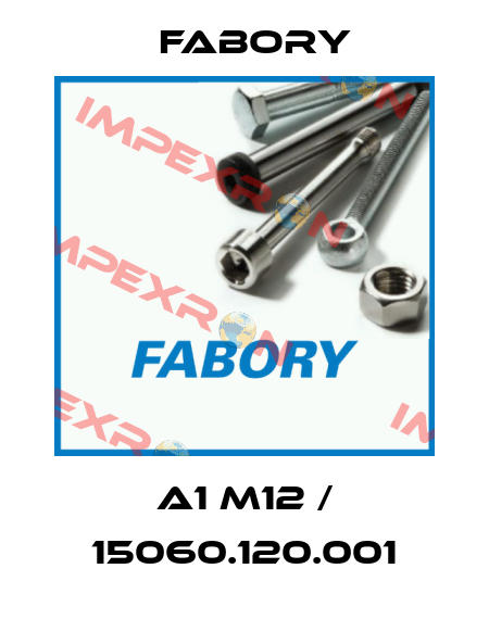 A1 M12 / 15060.120.001 Fabory