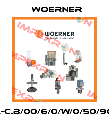 VPA-C.B/00/6/0/W/0/50/90/90 Woerner