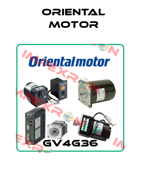 GV4G36 Oriental Motor