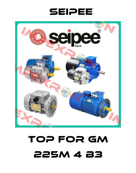 TOP for GM 225M 4 B3 SEIPEE