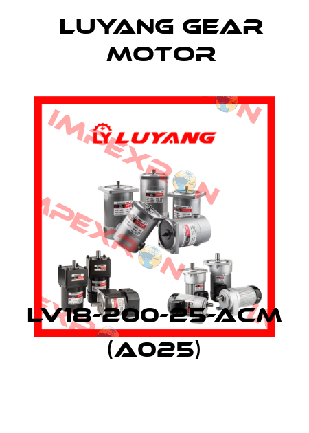 LV18-200-25-ACM (A025) Luyang Gear Motor
