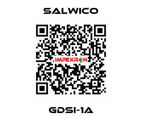 GDSI-1A Salwico