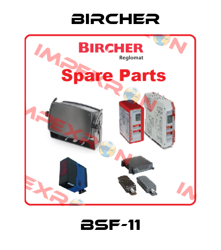 BSF-11 Bircher