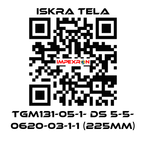 TGM131-05-1- DS 5-5- 0620-03-1-1 (225mm) ISKRA TELA