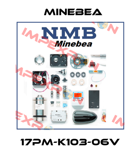 17PM-K103-06V Minebea