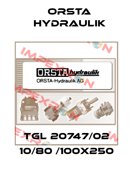 TGL 20747/02 10/80 /100x250 Orsta Hydraulik