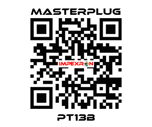 PT13B Masterplug