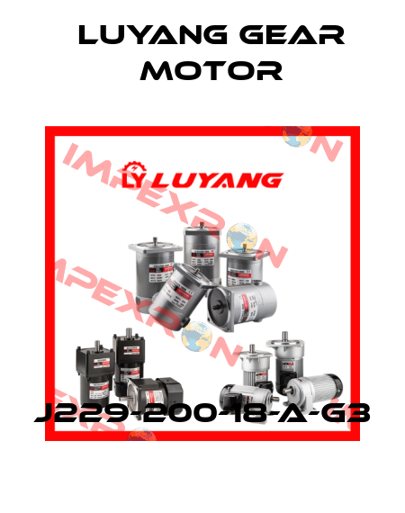 J229-200-18-A-G3 Luyang Gear Motor