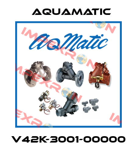 V42K-3001-00000 AquaMatic