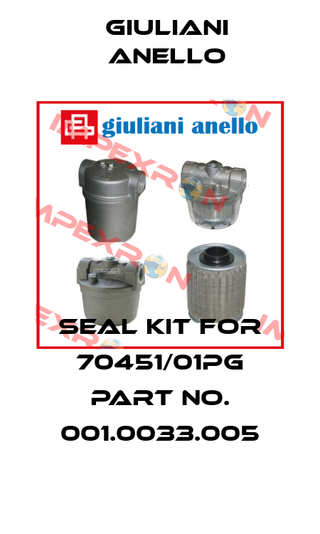 seal kit for 70451/01PG part no. 001.0033.005 Giuliani Anello